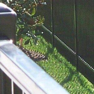 commercial-aluminum-railing-systems commercial-aluminum-railing-systems